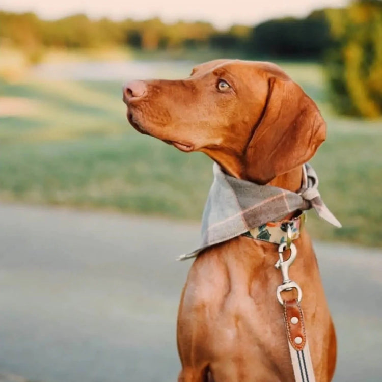 Aspen Plaid Flannel Dog Bandana
