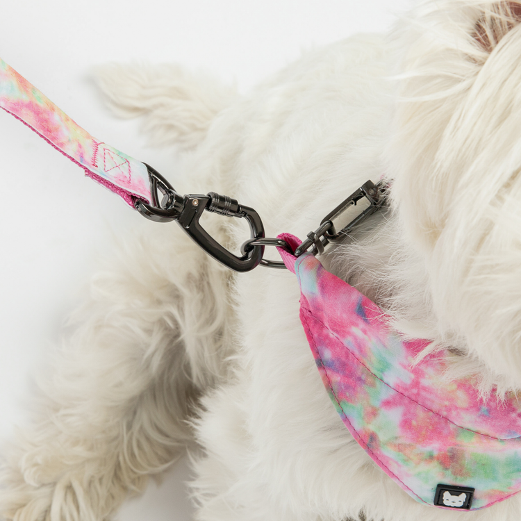 Pink Tie Dye Bandana Collar
