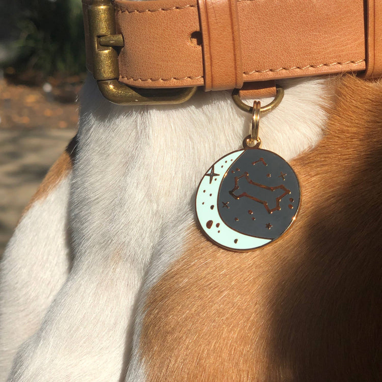 Zodiac Dog Tag