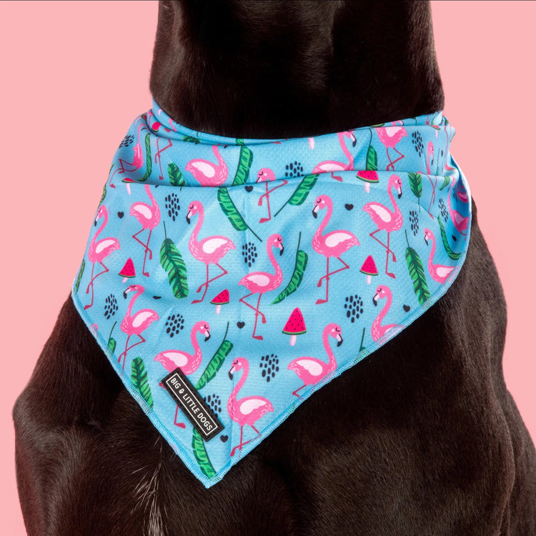 Flocking Fabulous Bandana