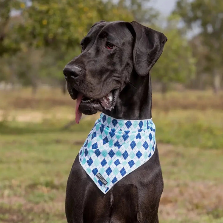 Blue Diamonds Bandana