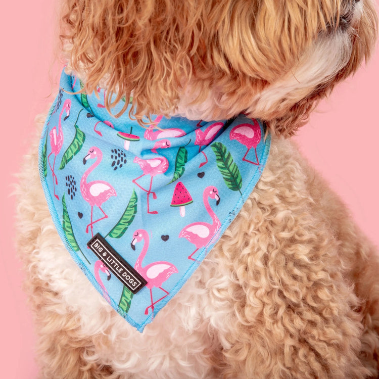 Flocking Fabulous Bandana