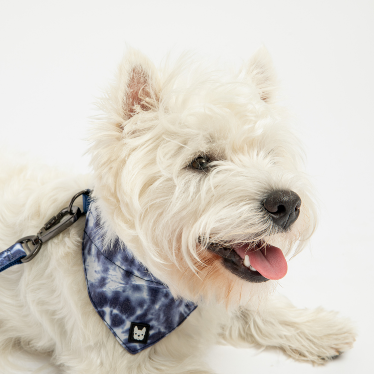 Blue Tie Dye Bandana Collar