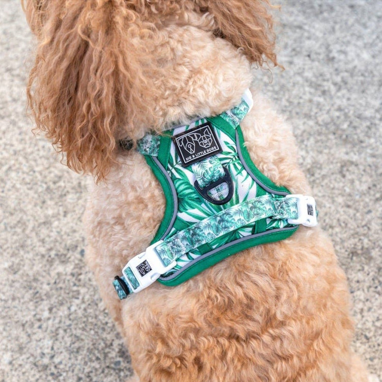 Paradise Palm All-Rounder Harness