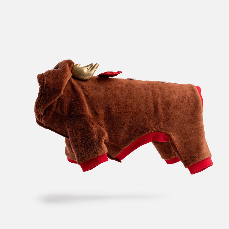 Christmas Reindeer Onesie