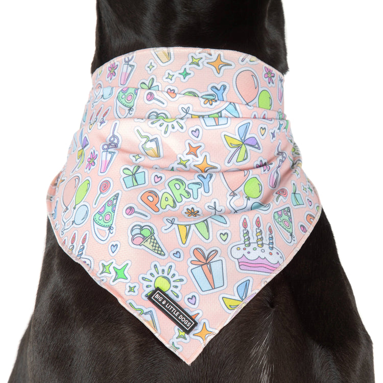Party Time Bandana