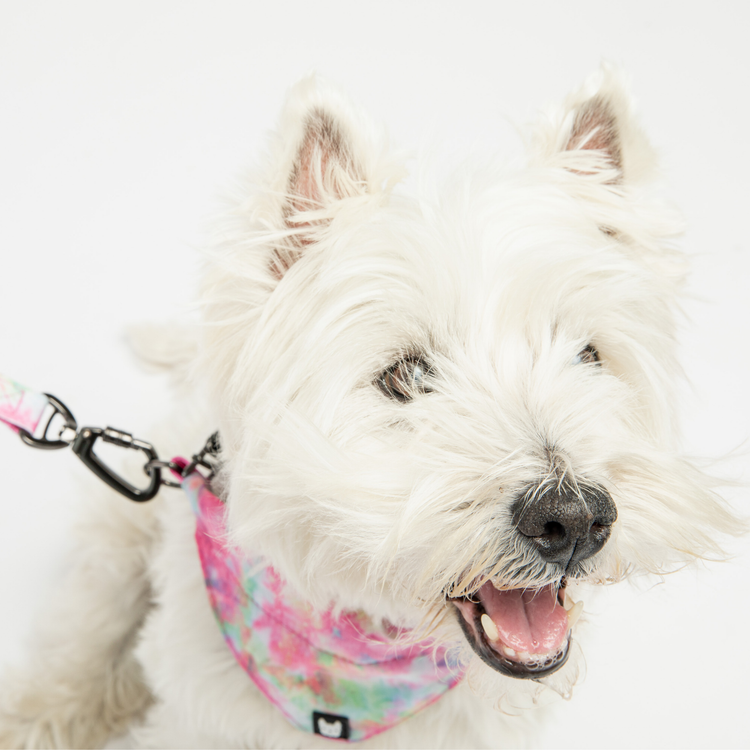 Pink Tie Dye Bandana Collar