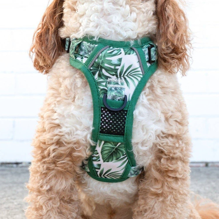 Paradise Palm All-Rounder Harness
