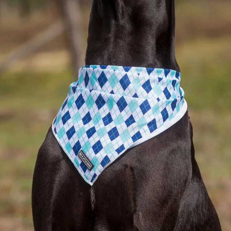 Blue Diamonds Bandana
