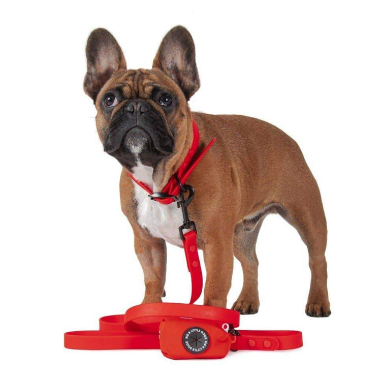 Candy Red Waterproof Lead