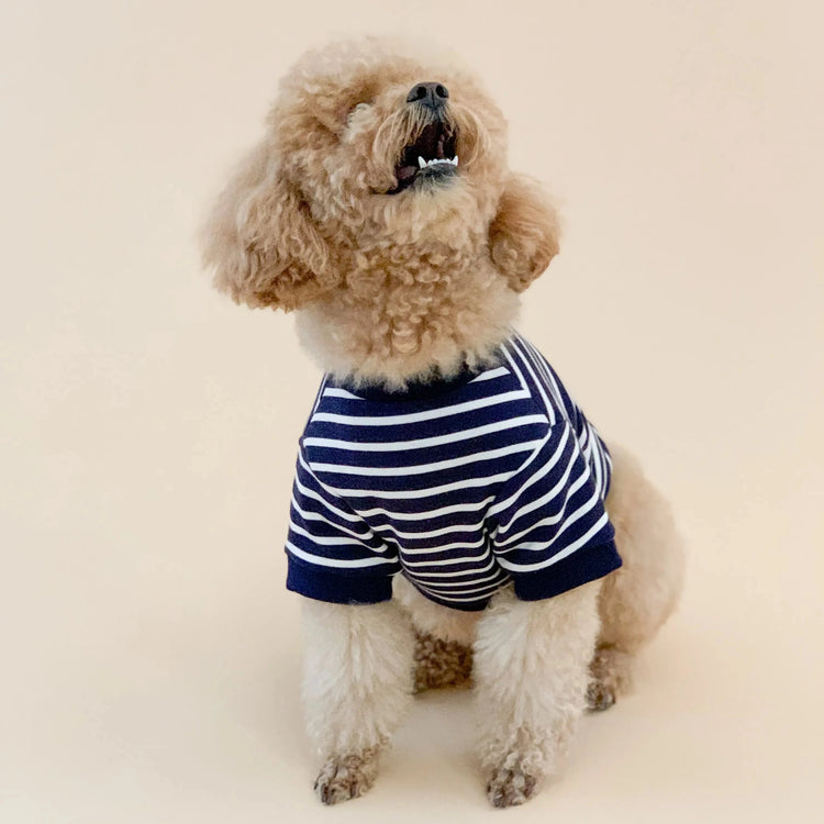 Breton Stripe Dog Jumper