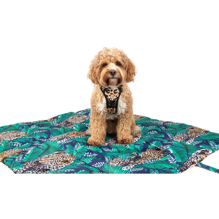 Reversible Travel Mat - Luxurious Leopard