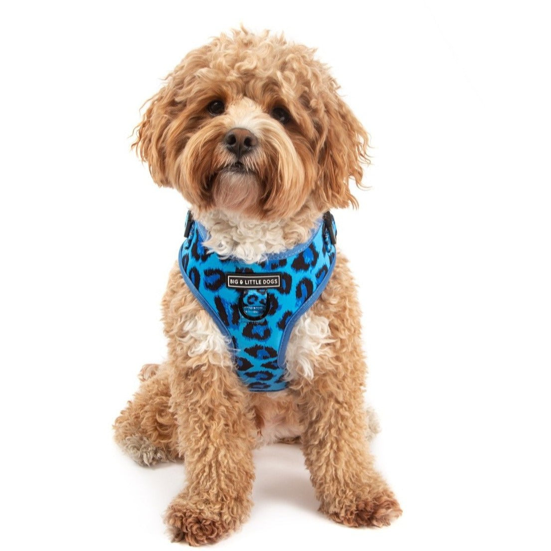 Blue Leopard Print Dog Harness Adjustable For The Perfect Fit