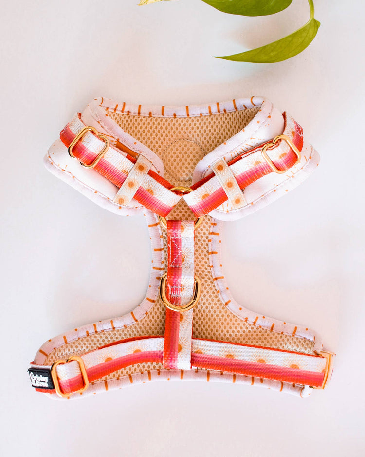 Aurora Padded Adjustable Harness