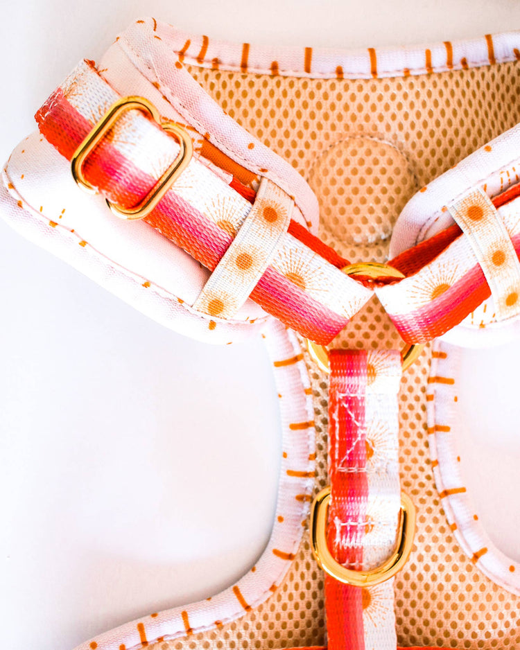 Aurora Padded Adjustable Harness