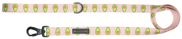 Avocado Lead