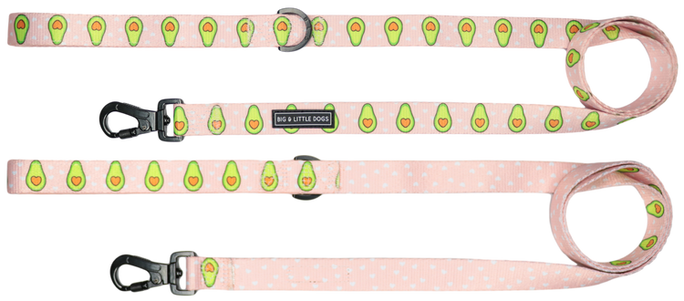 Avocado Lead