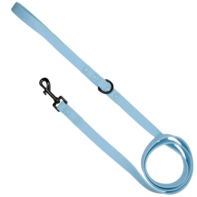 Baby Blue Waterproof Lead