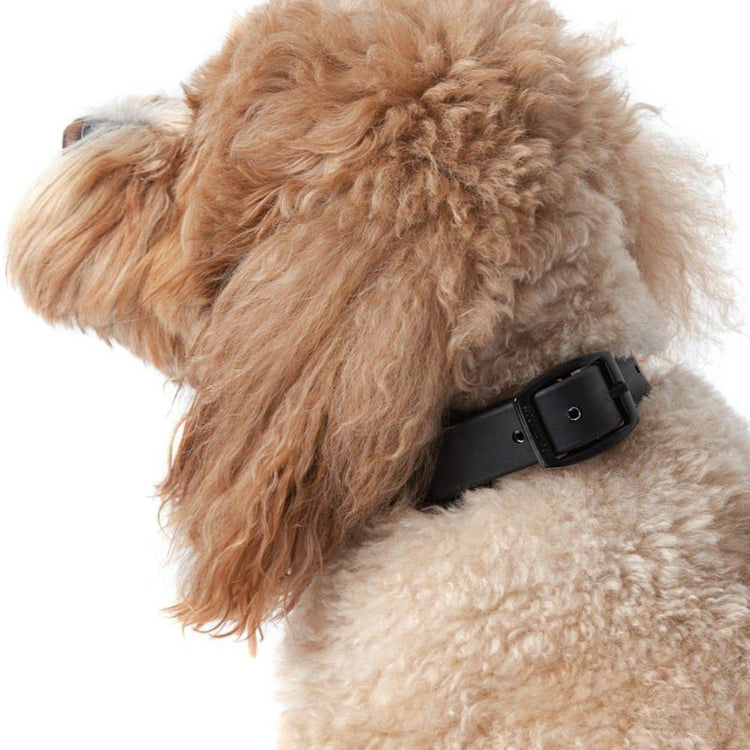 Black Waterproof Collar