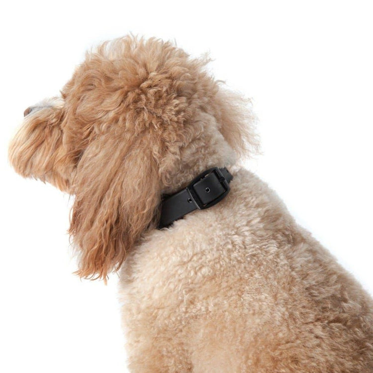 Black Waterproof Collar