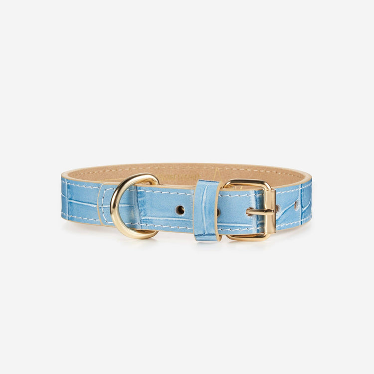 Blue Leather Collar