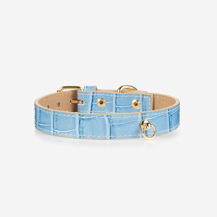 Blue Leather Collar