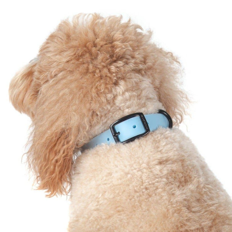 Baby Blue Waterproof Collar