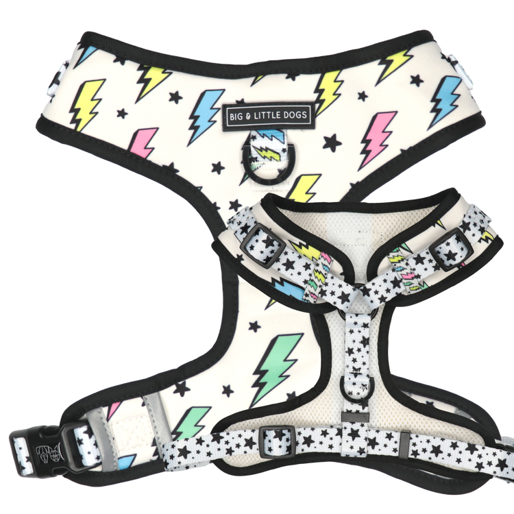 Bolt Adjustable Harness