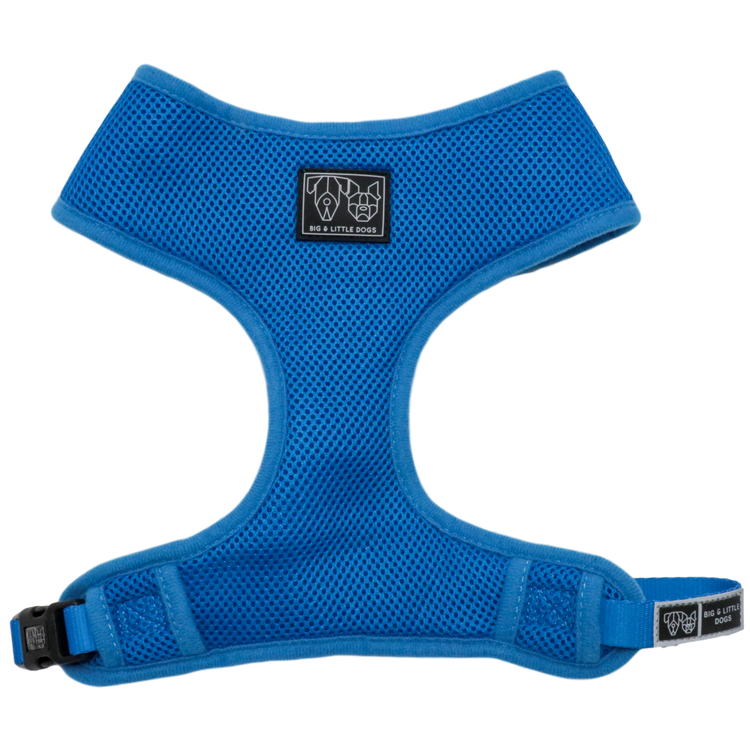 Cobalt Blue Harness