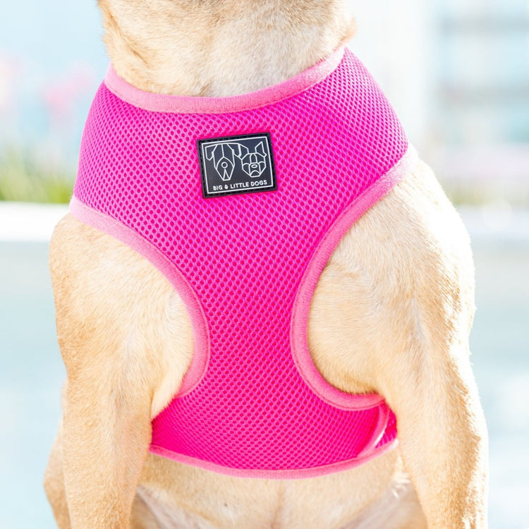 Hot Pink Harness