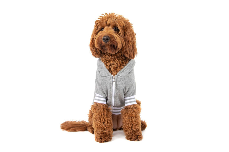 Grey Luxe Hoodie