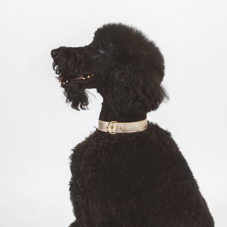 Gold Leather Collar