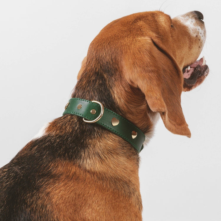 Green Leather Heart Collar