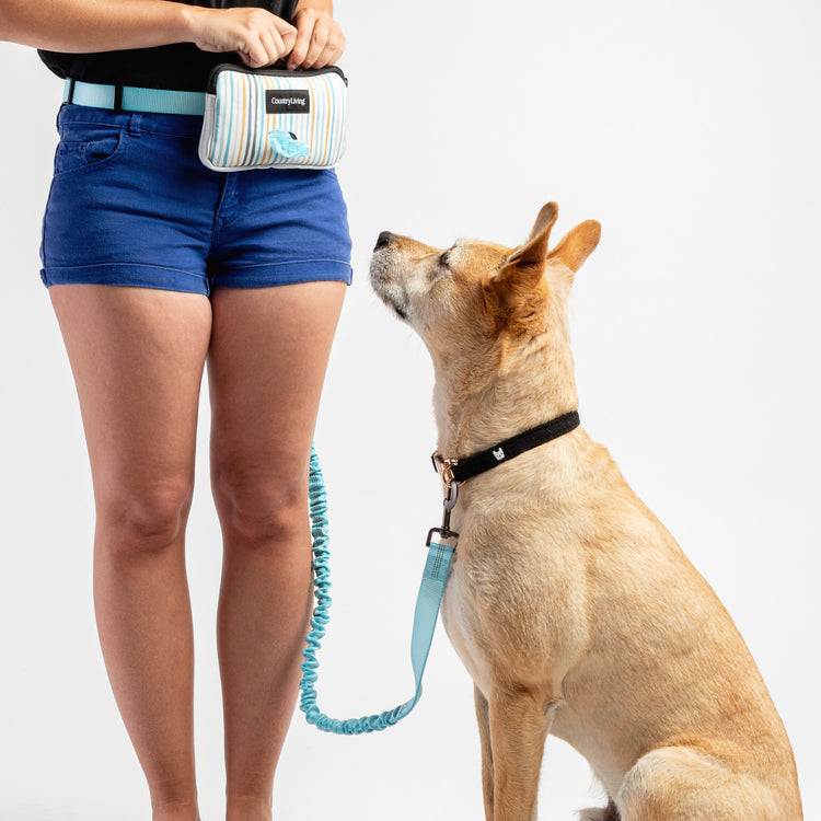 Country Living™ Hands Free Dog Lead & Pouch - Stripe Blue