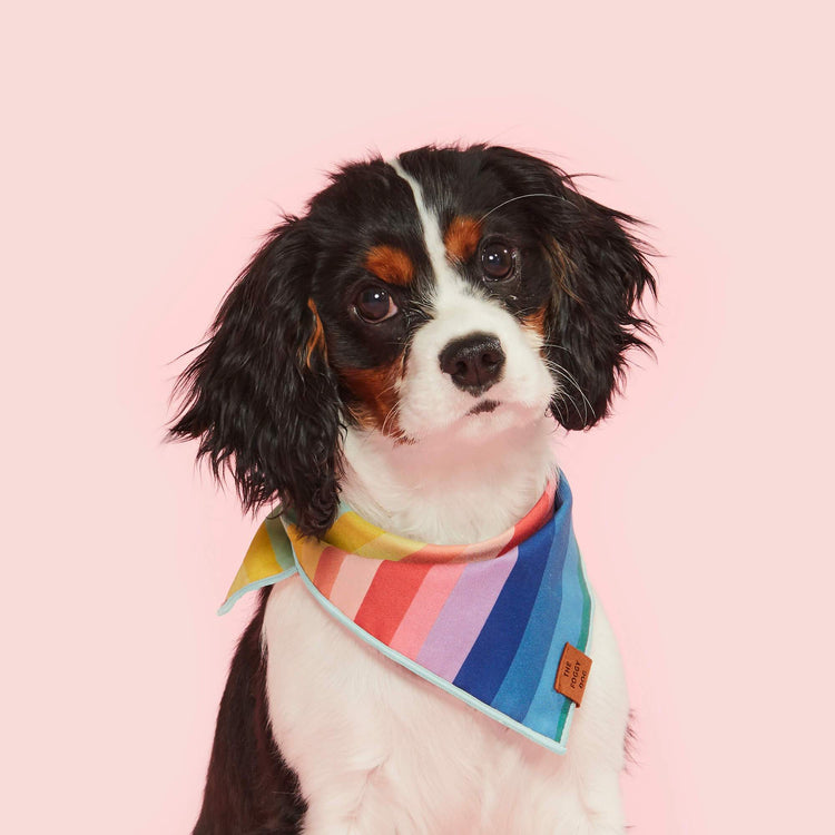Over The Rainbow Bandana