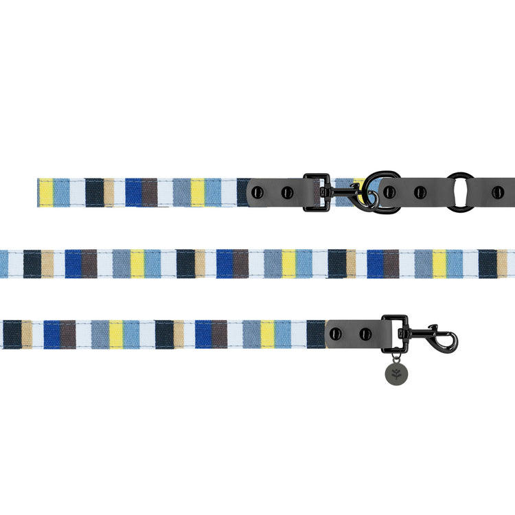 Grey Stripe Lead