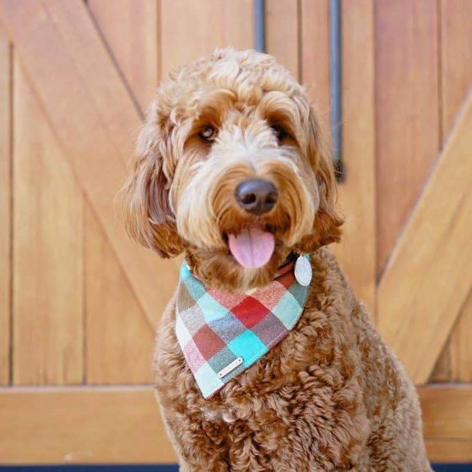Taos Check Flannel Bandana