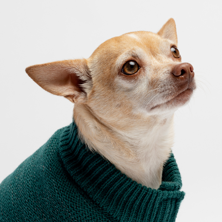 Teal Sherpa Sweater