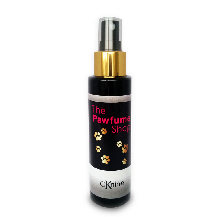 CKnine Fragrance
