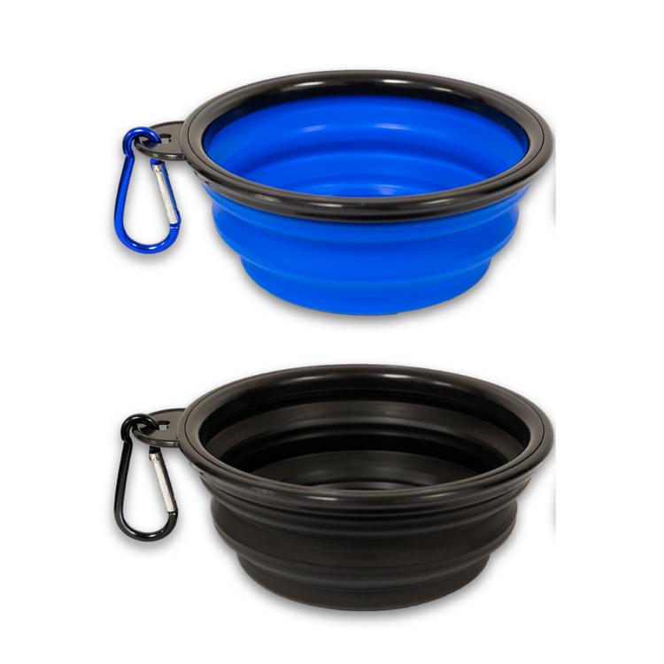 Pop-Up Dog Bowl