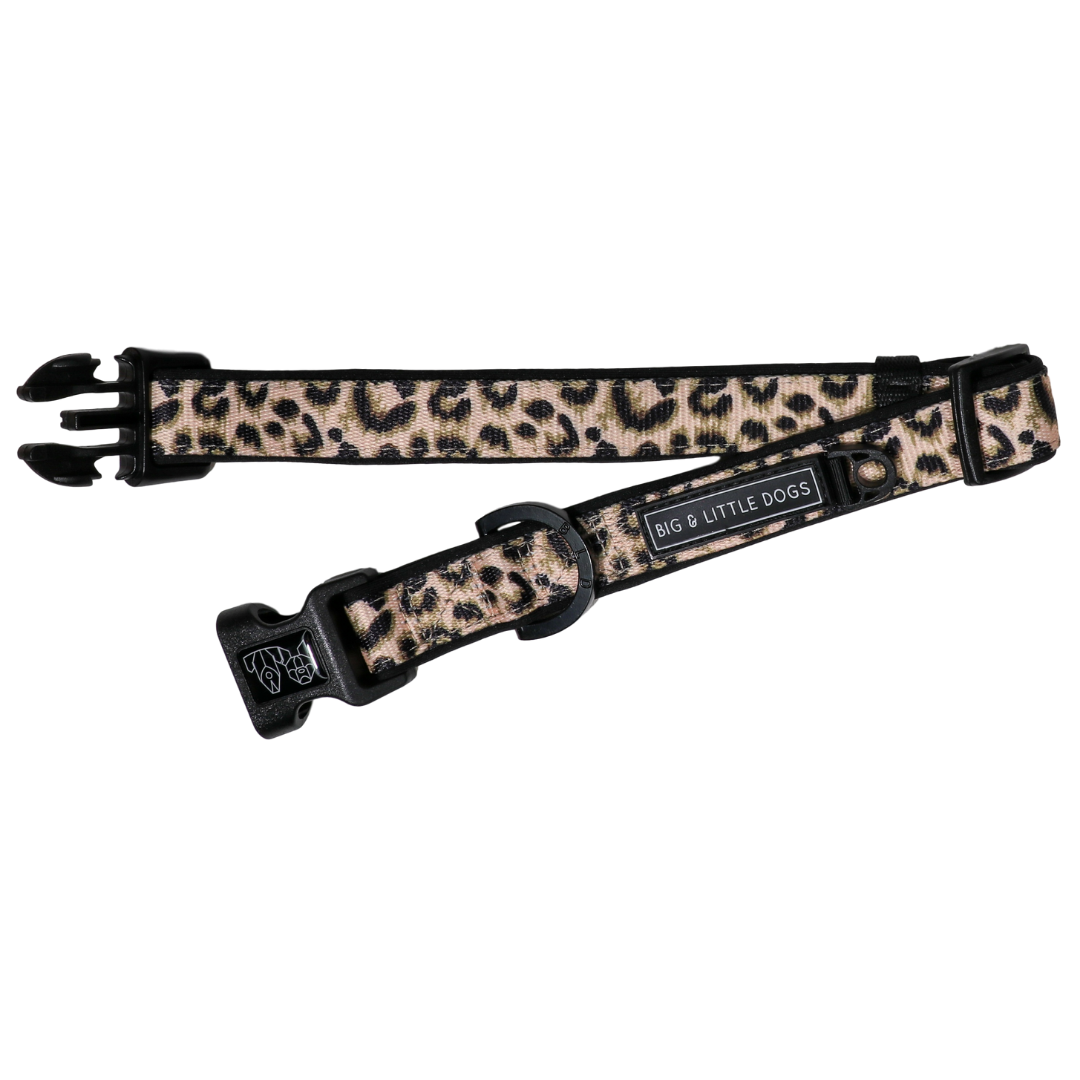 Leopard Dog Collar