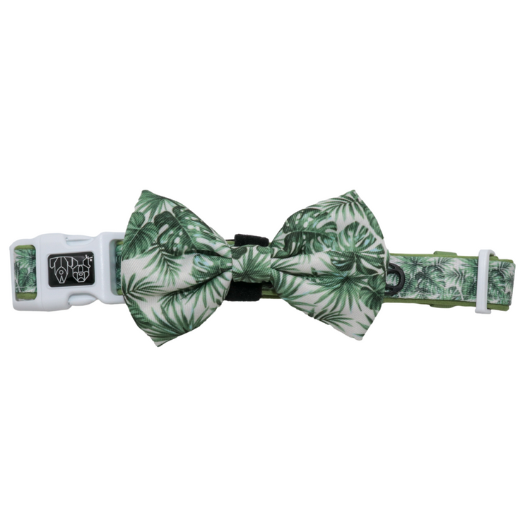 Paradise Palm Collar + Bow Tie