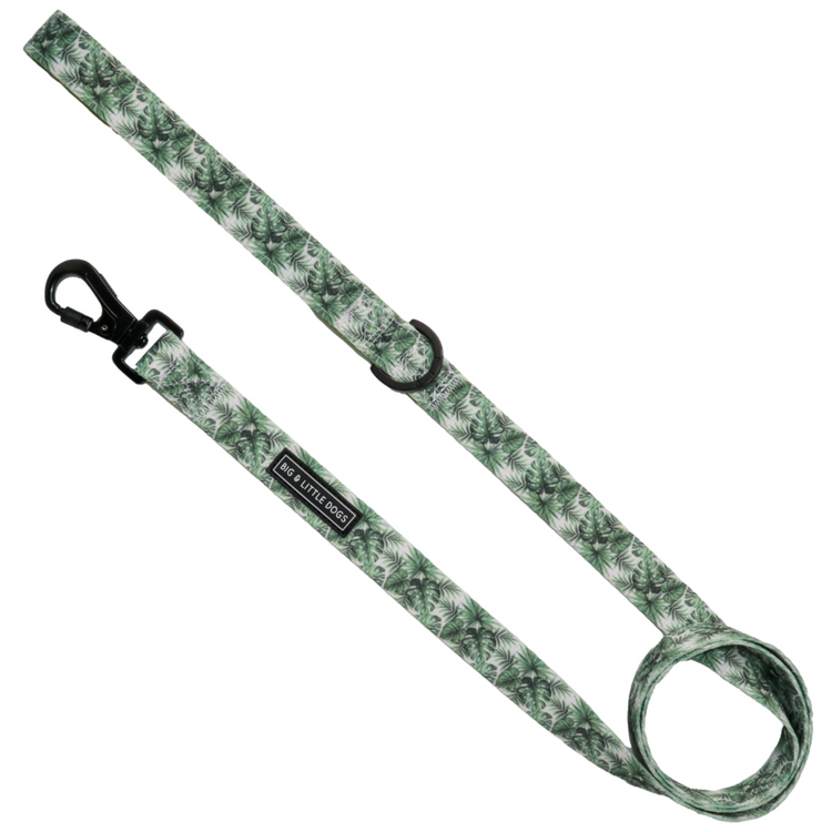 Paradise Palm Lead
