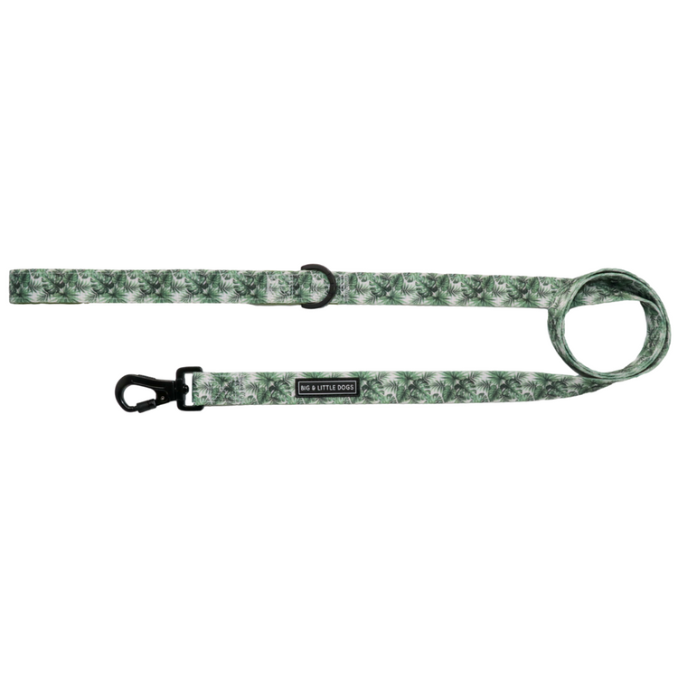 Paradise Palm Lead