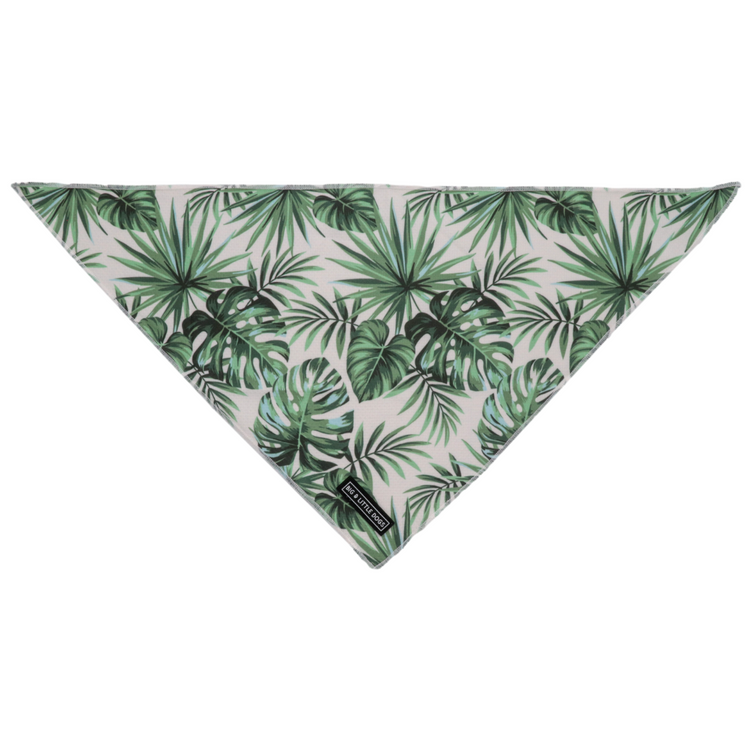 Paradise Palm Bandana