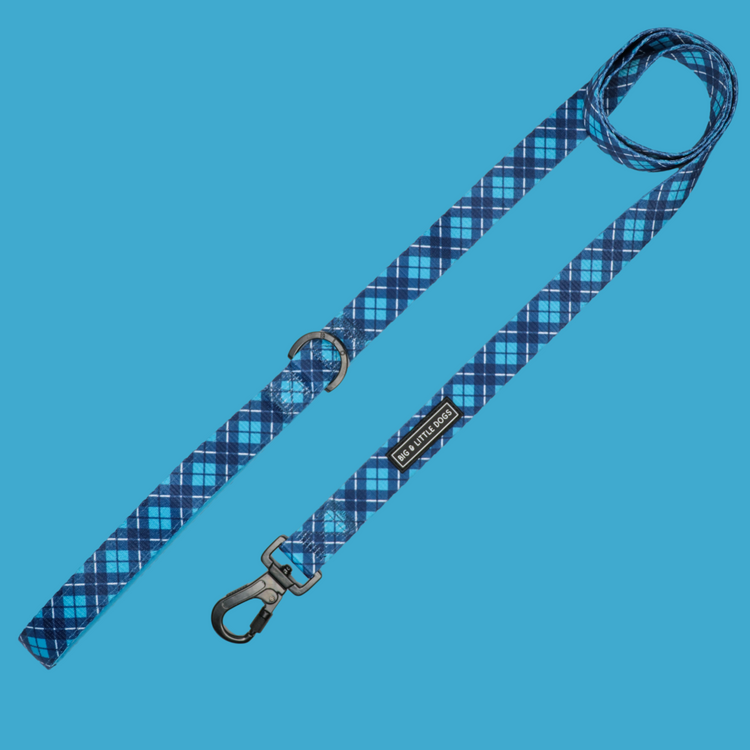 His Plaid Lead