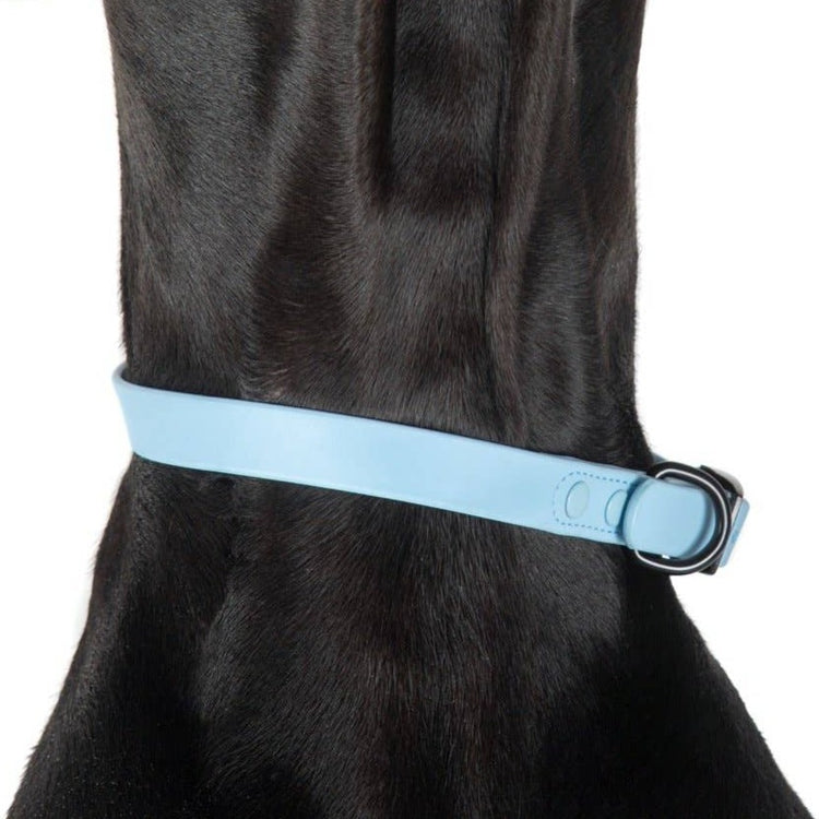 Baby Blue Waterproof Collar