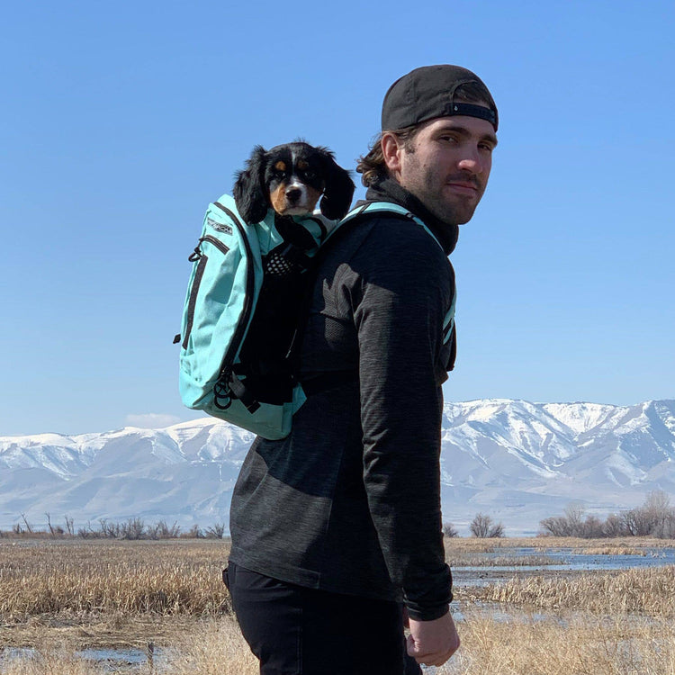 Plus 2 Sport Sack Dog Carrier - Mint