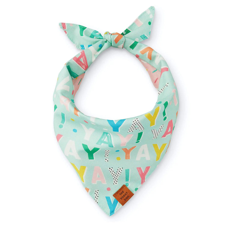Birthday Yay Aqua Bandana (Reversible)
