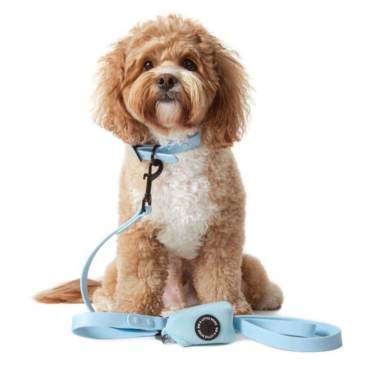 Baby Blue Waterproof Collar
